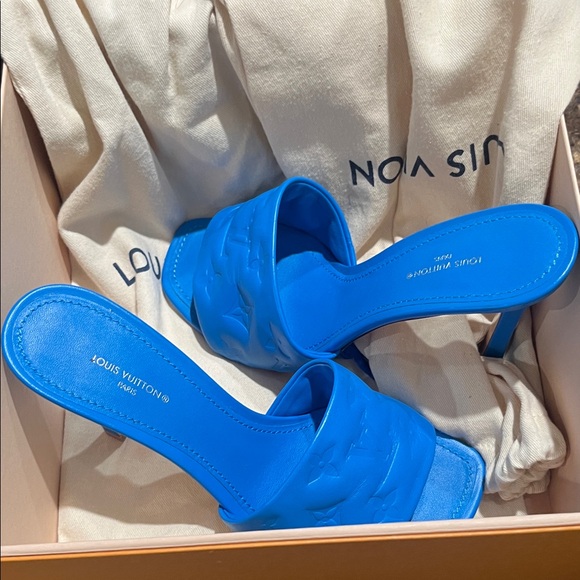 Louis Vuitton Blue Mules - Picture 3 of 7
